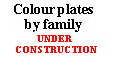 Want to browse, or got a specimen
to identify?  Click here for plates
with 30 or more specimens in a given
family illustrated in colour per plate.