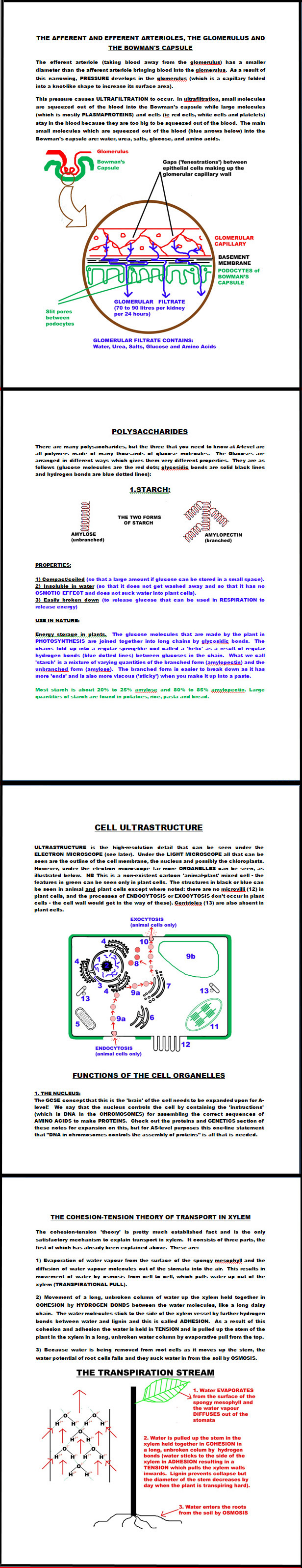 samples of my teaching notes